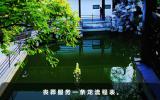丧葬一条龙服务有什么流程？丧葬服务一条龙流程表
