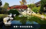丧葬咨询网站有哪些？丧葬一条龙在线咨询