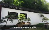 丧事全套多少钱？丧事一条龙套餐价格表
