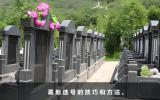 墓地选择几排几号好？墓地选号的技巧和方法
