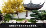 阳历哪天不能出殡？这些日子不宜出殡你必须要知道