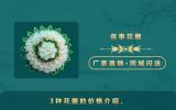 花圈价格一般多少？3种花圈的价格介绍