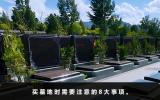 买墓地都需要注意些什么？买墓地时需要注意的8大事项