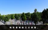 墓地去哪买？购买墓地的三大渠道