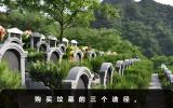 坟墓在哪里买？购买坟墓的三个途径