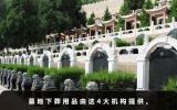 墓地下葬用品谁提供的？墓地下葬用品由这4大机构提供