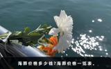 海葬价格多少钱？海葬价格一览表