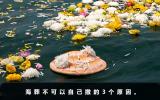 海葬可以自己撒吗？海葬不可以自己撒的3个原因