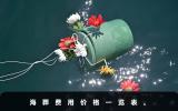 海葬需要多少费用？海葬费用价格一览表