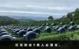 迁坟时必须去的人有哪些？迁坟时这5类人必须去