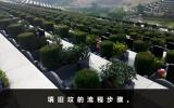 迁坟注意事项旧坟怎么填平？填旧坟的流程步骤