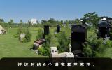 迁坟有什么讲究和忌讳？迁坟时的6个讲究和三不迁