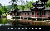 龙骨在丧葬的作用是什么？龙骨在丧葬的3大作用
