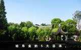 给帛金的忌讳有哪些？给帛金的5大忌讳