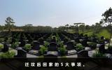 迁坟后回家需要做什么？迁坟后回家的5大事项