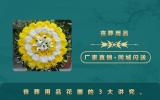 丧葬用品花圈有什么讲究？丧葬用品花圈的3大讲究