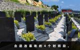 选墓地什么时间去合适？合适选墓地的4个时间段