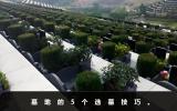 墓地如何选择？墓地的5个选墓技巧