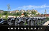 龙眼在墓地什么位置好？