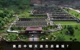 黄历中哪天适合买墓地？