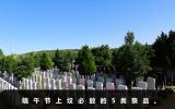 端午节上坟放什么好一点？端午节上坟必放的5类祭品