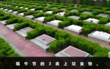 端午节去上坟用什么食物？端午节的3类上坟食物