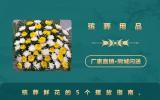 殡葬用品鲜花怎么摆放？殡葬鲜花的5个摆放指南