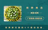 殡葬用品鲜花圈怎么摆放？殡葬鲜花圈的6个摆放指南
