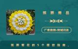 殡葬用品鲜花菊花怎么摆放？殡葬菊花的5个摆放指南