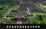 骨灰盒是不是一定要放墓地？骨灰盒是否放墓地的内容讲解