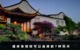 遗体告别带什么花？遗体告别时可以选择的7种花卉