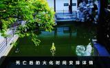 死亡后多久火化？死亡后的火化时间安排详情