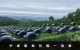 宁波墓地多少钱一个？宁波墓地价格一览表