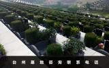 台州墓地咨询电话号码是多少？台州墓地咨询联系电话