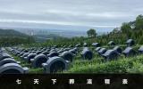 七天下葬流程是什么？七天下葬流程表