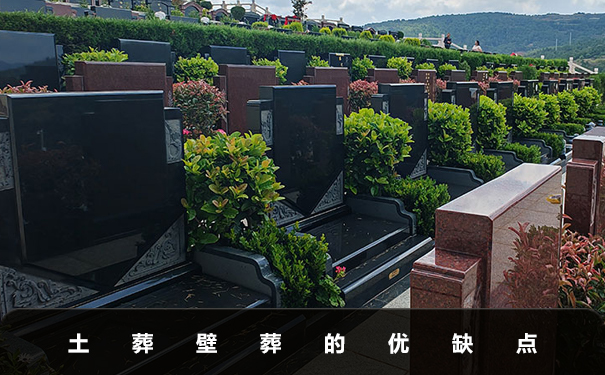 土葬壁葬哪个比较好