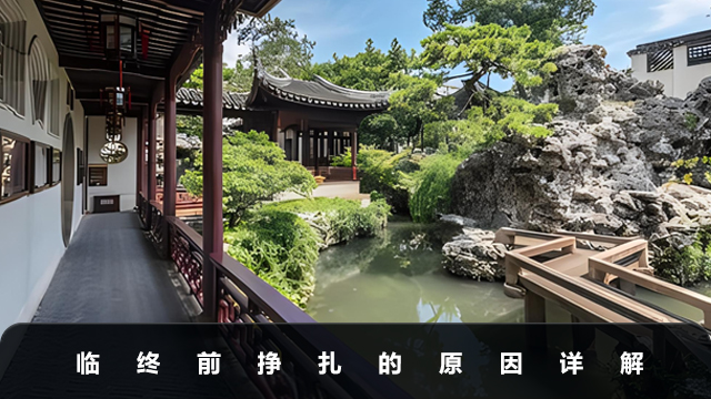 死前都会挣扎吗