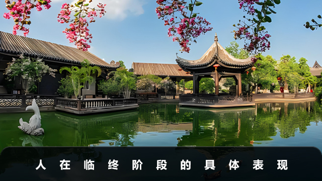 人将死时眼睛有什么变化？人在临终阶段眼睛的具体表现