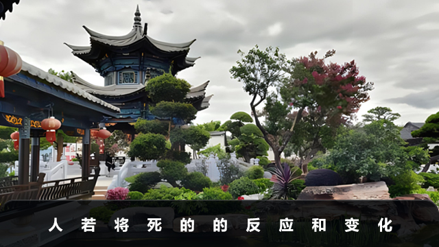 人若将死有什么反应？人若将死的的反应和变化