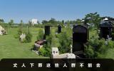 丈人下葬什么人不能去？丈人下葬这些人群不能去