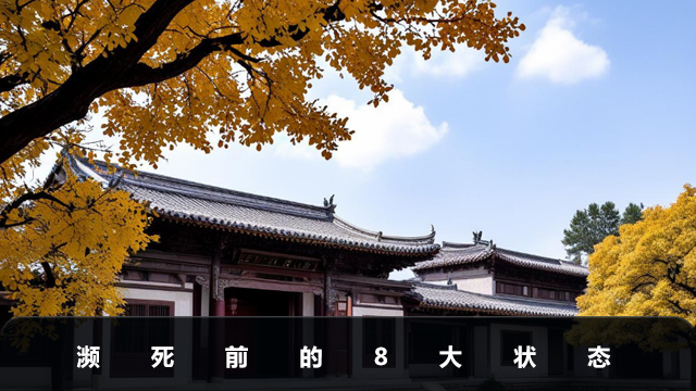 濒死前的状态有哪些