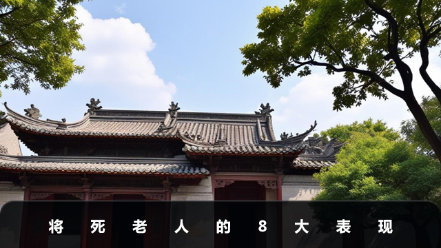 将死老人的表现有哪些
