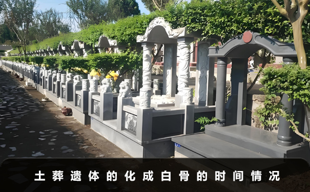 土葬遗体多久能化成白骨