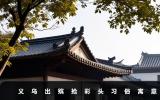 义乌出殡抢彩头什么意思？义乌出殡抢彩头习俗寓意